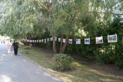 DSC09853