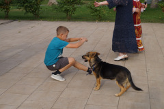 DSC09880