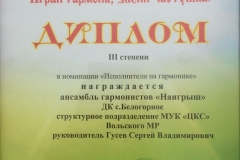 5. Играй гармонь_новый размер